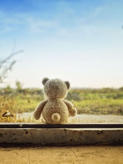 Обои Lonely Teddy Bear 240x320