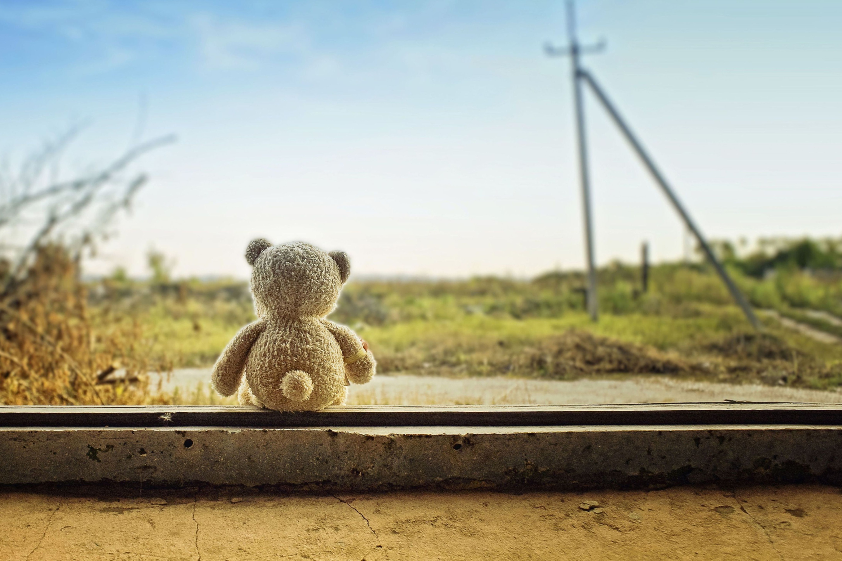 Lonely Teddy Bear screenshot #1 2880x1920