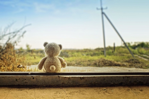 Lonely Teddy Bear screenshot #1 480x320