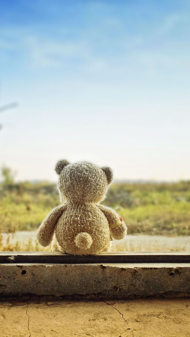 Lonely Teddy Bear wallpaper 640x1136