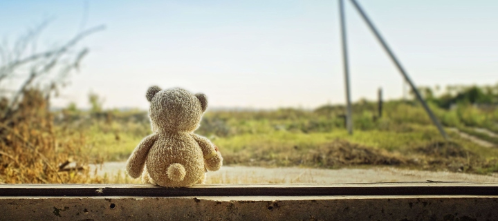 Lonely Teddy Bear wallpaper 720x320