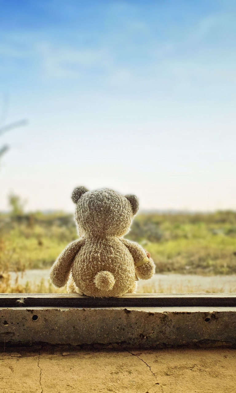 Lonely Teddy Bear Wallpaper for 768x1280
