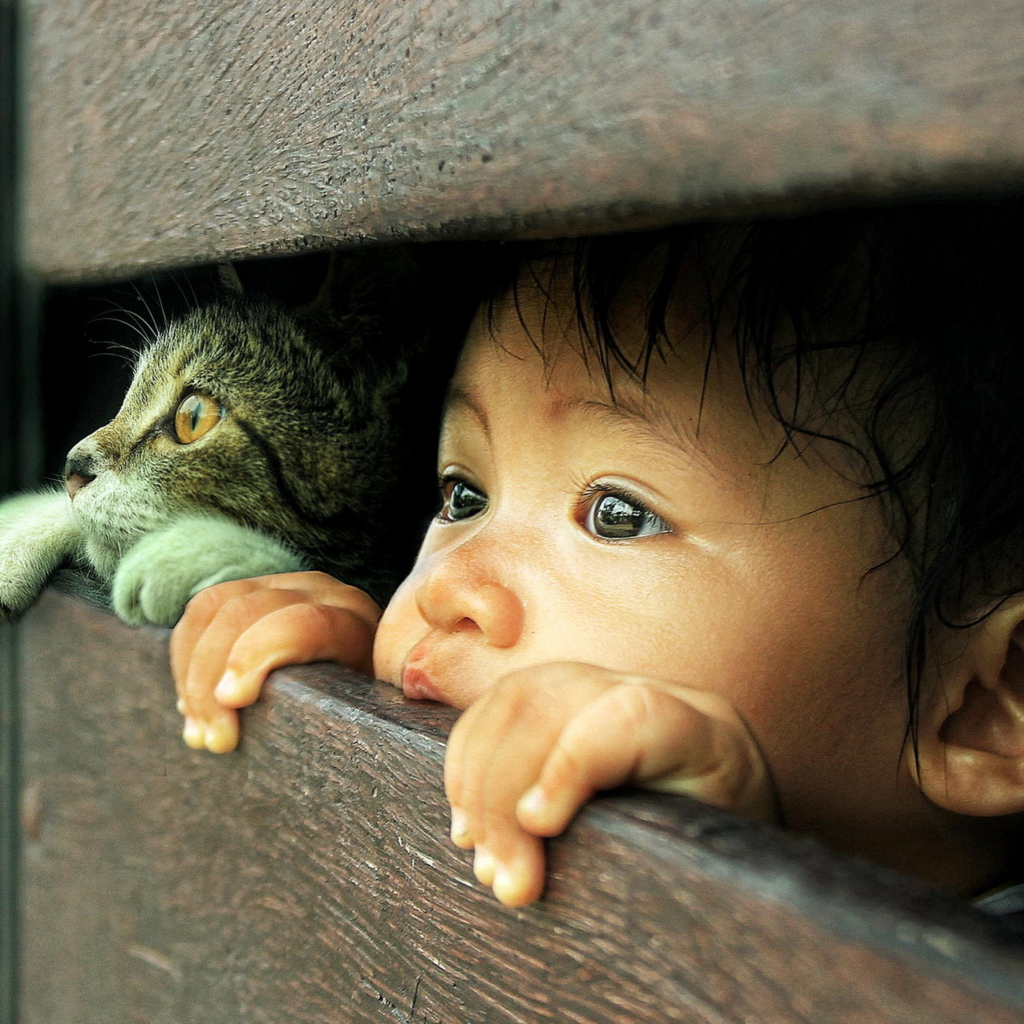 Обои Baby Boy And His Friend Little Kitten 1024x1024