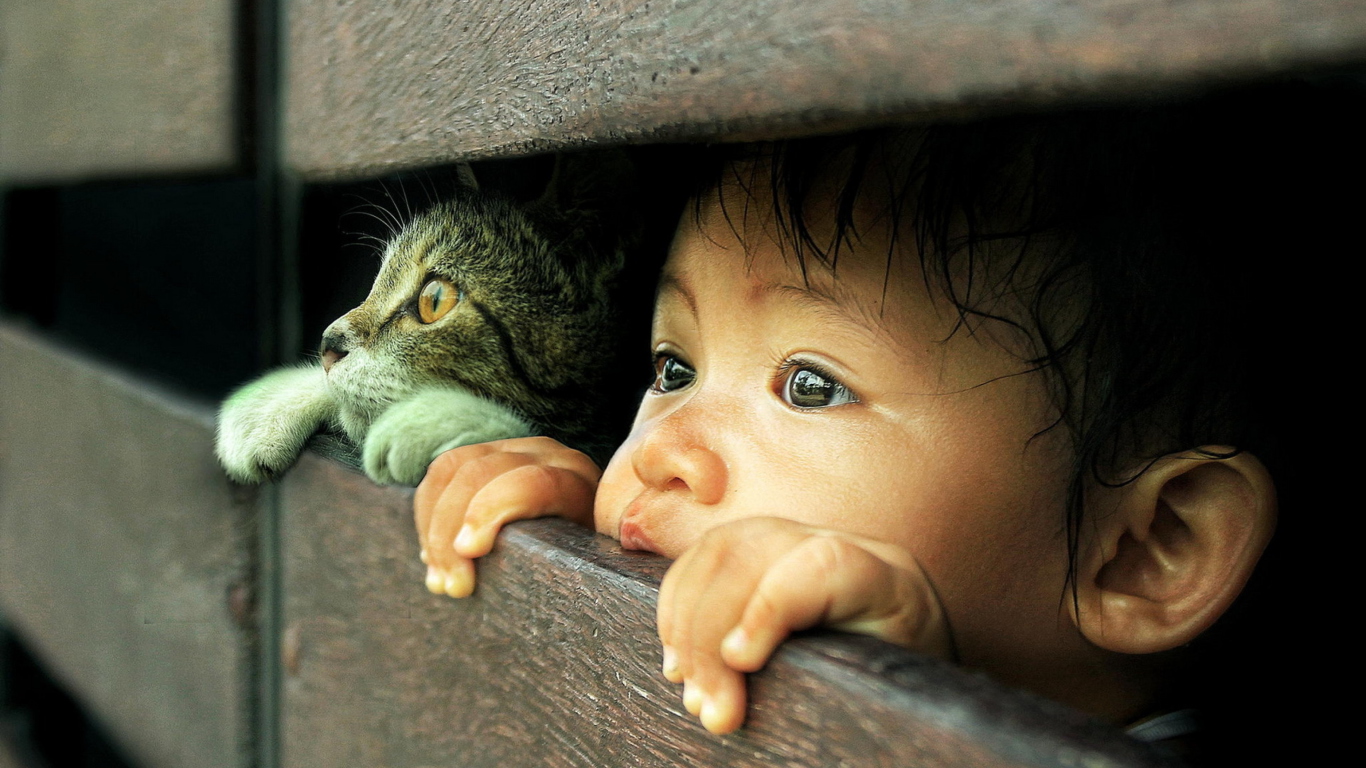 Обои Baby Boy And His Friend Little Kitten 1366x768