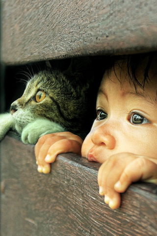 Baby Boy And His Friend Little Kitten wallpaper 320x480