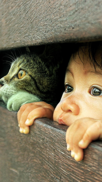 Обои Baby Boy And His Friend Little Kitten 360x640