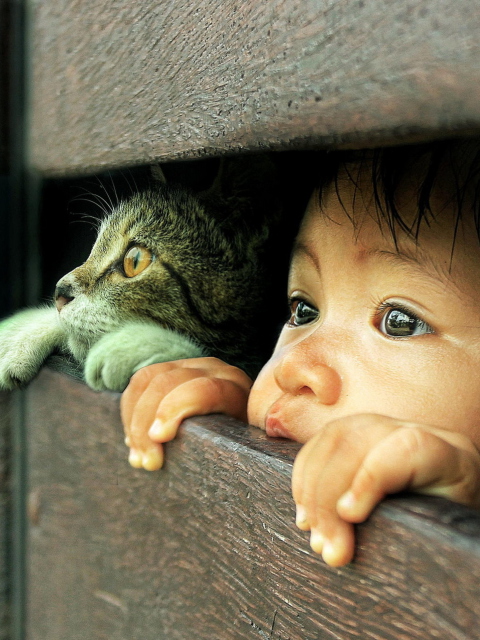 Fondo de pantalla Baby Boy And His Friend Little Kitten 480x640