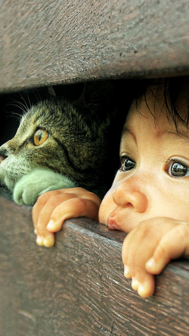 Обои Baby Boy And His Friend Little Kitten 640x1136
