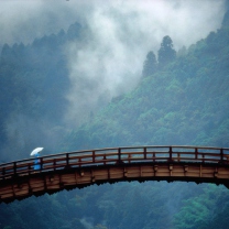Sfondi Kintai Bridge Japan 208x208