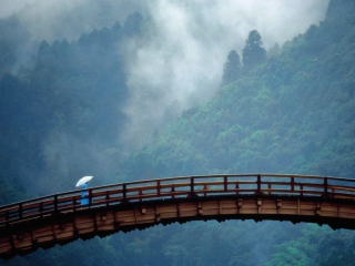 Обои Kintai Bridge Japan 320x240