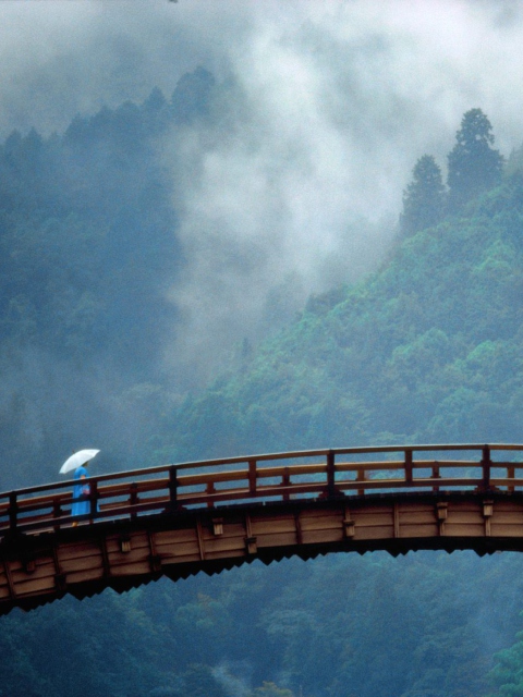 Fondo de pantalla Kintai Bridge Japan 480x640