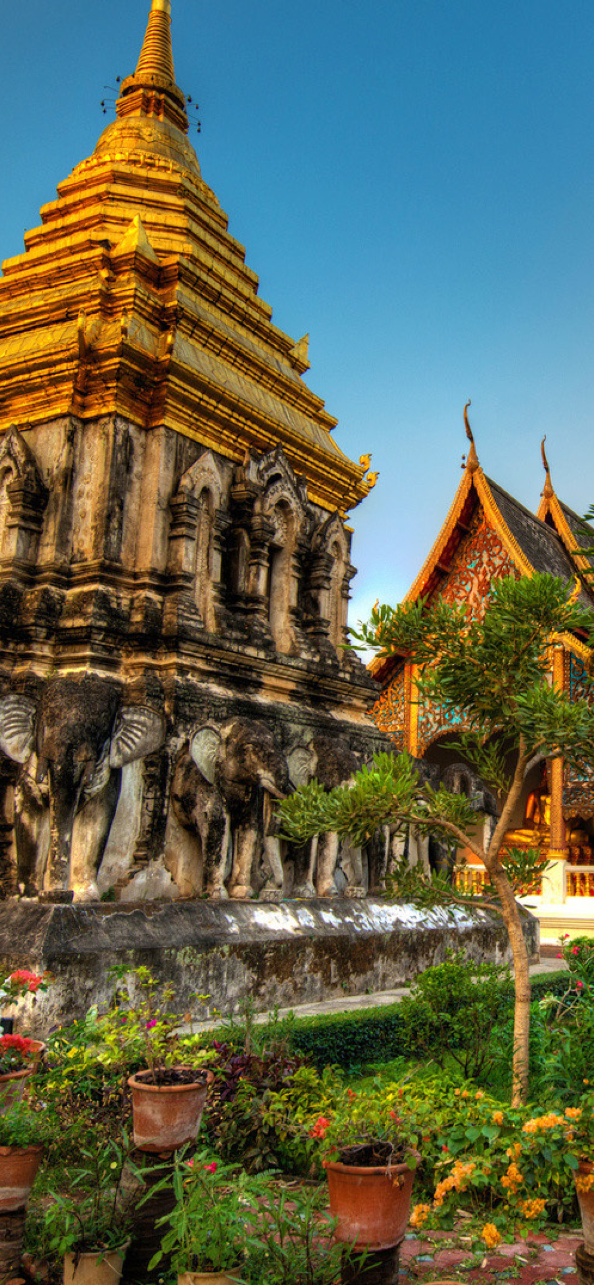Das Thailand Temple Wallpaper 1170x2532