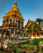 Fondo de pantalla Thailand Temple 176x220