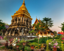 Thailand Temple wallpaper 220x176