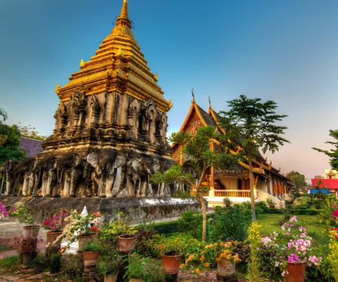 Thailand Temple wallpaper 480x400
