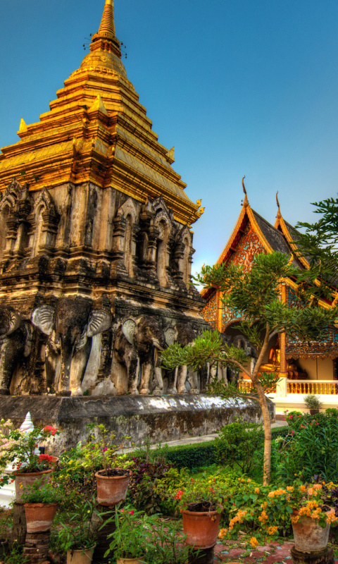 Fondo de pantalla Thailand Temple 480x800