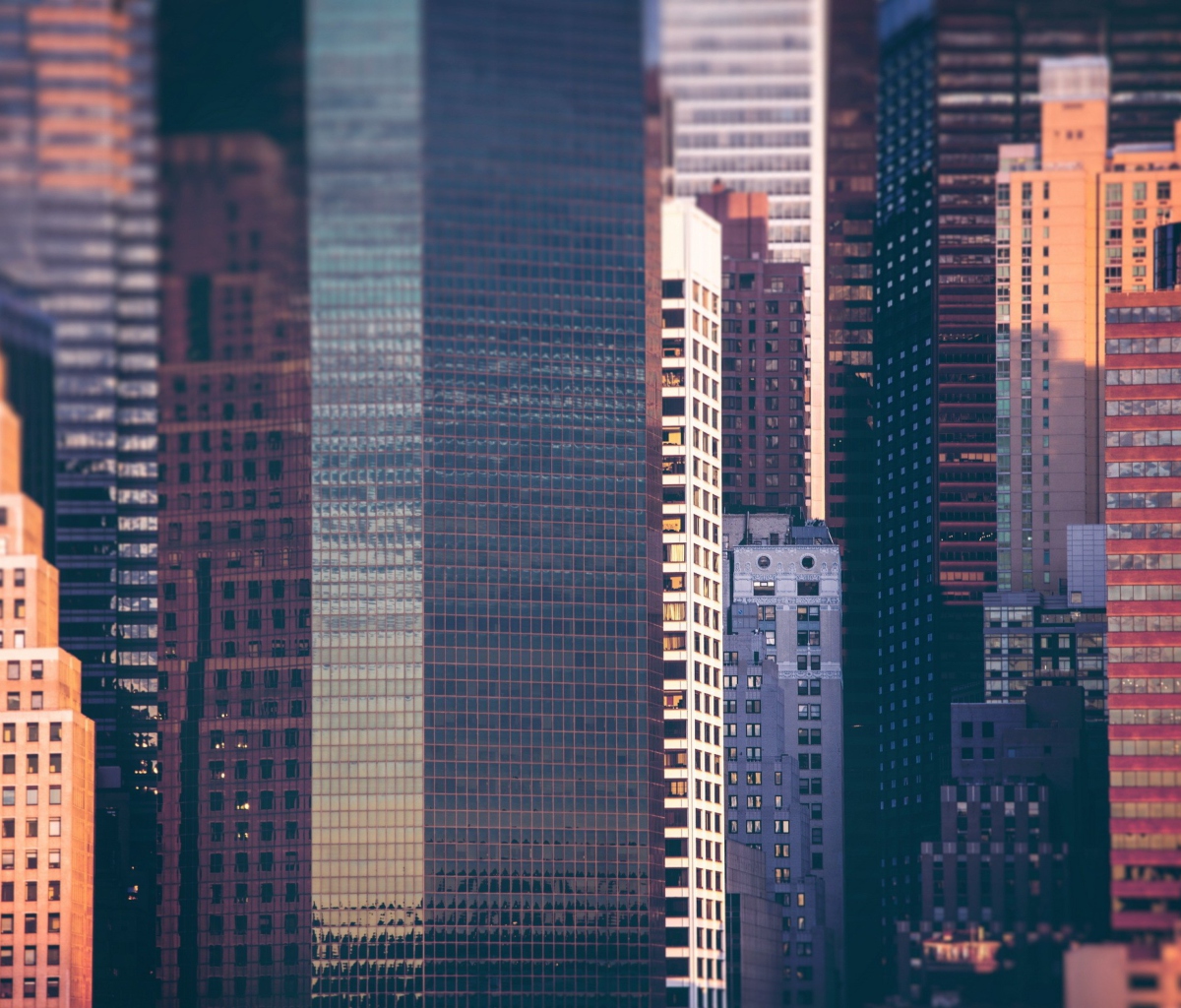 Manhattan Buildings screenshot #1 1200x1024