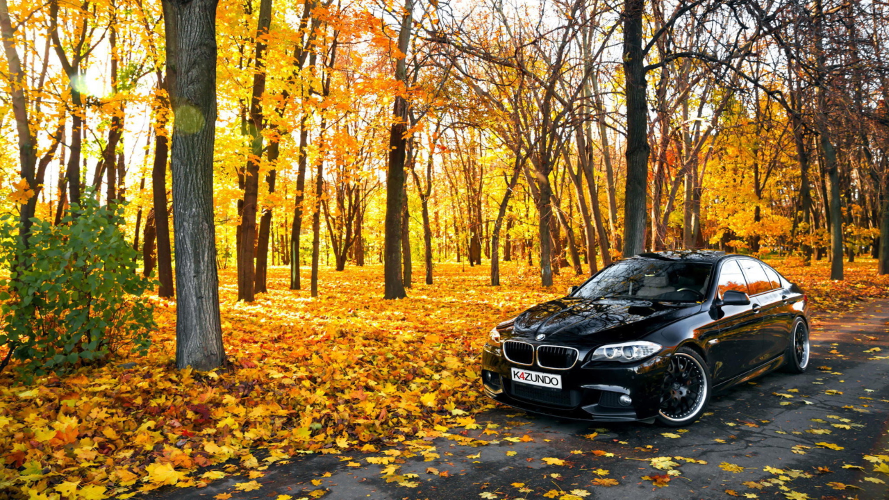 Fondo de pantalla BMW 550X Autumn View 1280x720