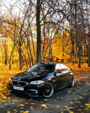 BMW 550X Autumn View screenshot #1 128x160