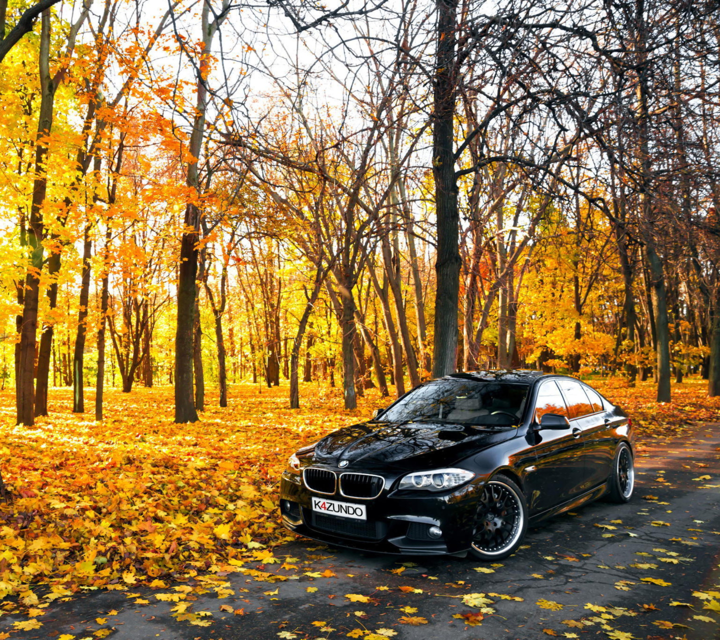 Обои BMW 550X Autumn View 1440x1280