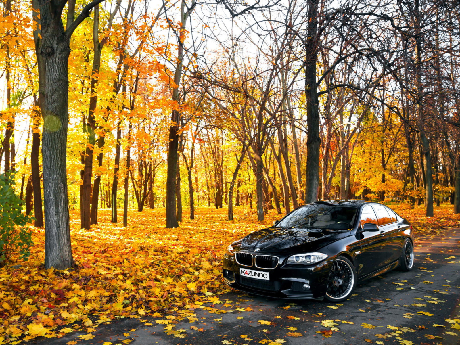 Sfondi BMW 550X Autumn View 1600x1200