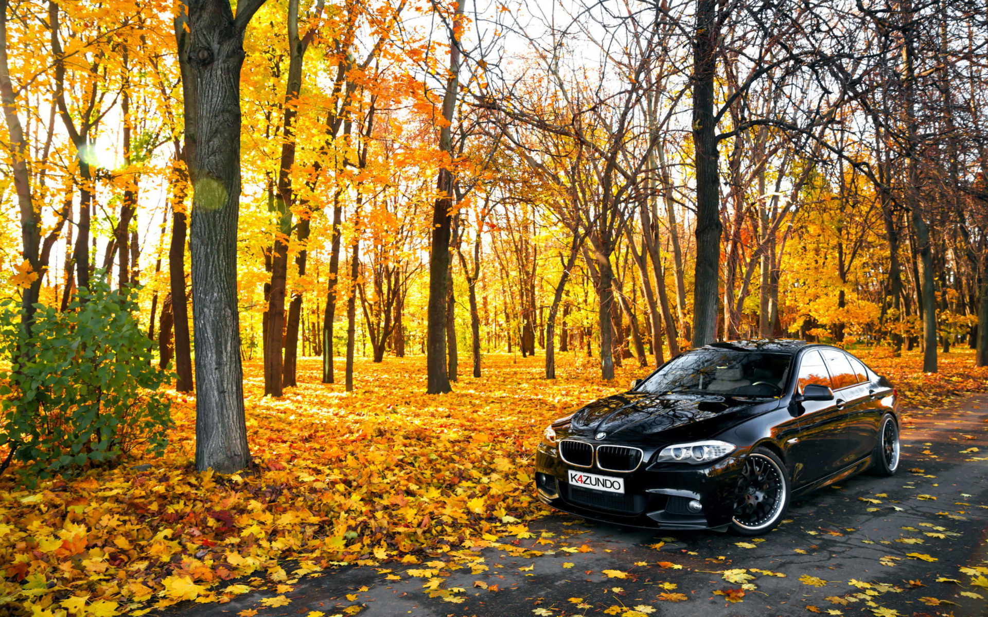 Обои BMW 550X Autumn View 1920x1200