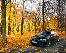 BMW 550X Autumn View screenshot #1 220x176