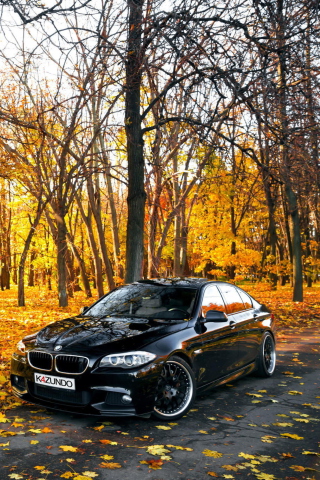 BMW 550X Autumn View wallpaper 320x480