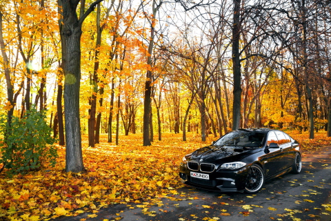 Fondo de pantalla BMW 550X Autumn View 480x320