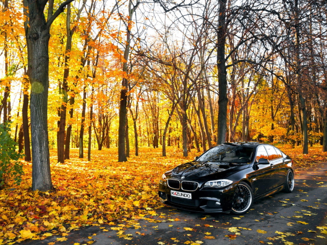 Sfondi BMW 550X Autumn View 640x480