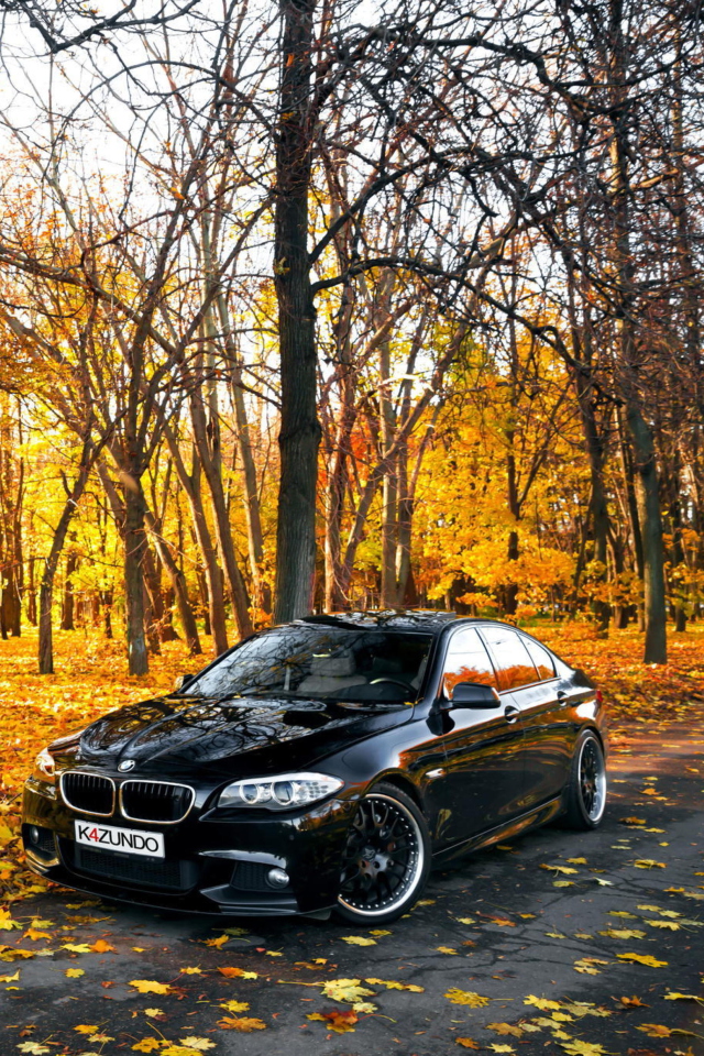 Das BMW 550X Autumn View Wallpaper 640x960