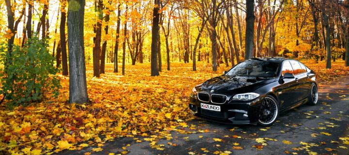 Fondo de pantalla BMW 550X Autumn View 720x320