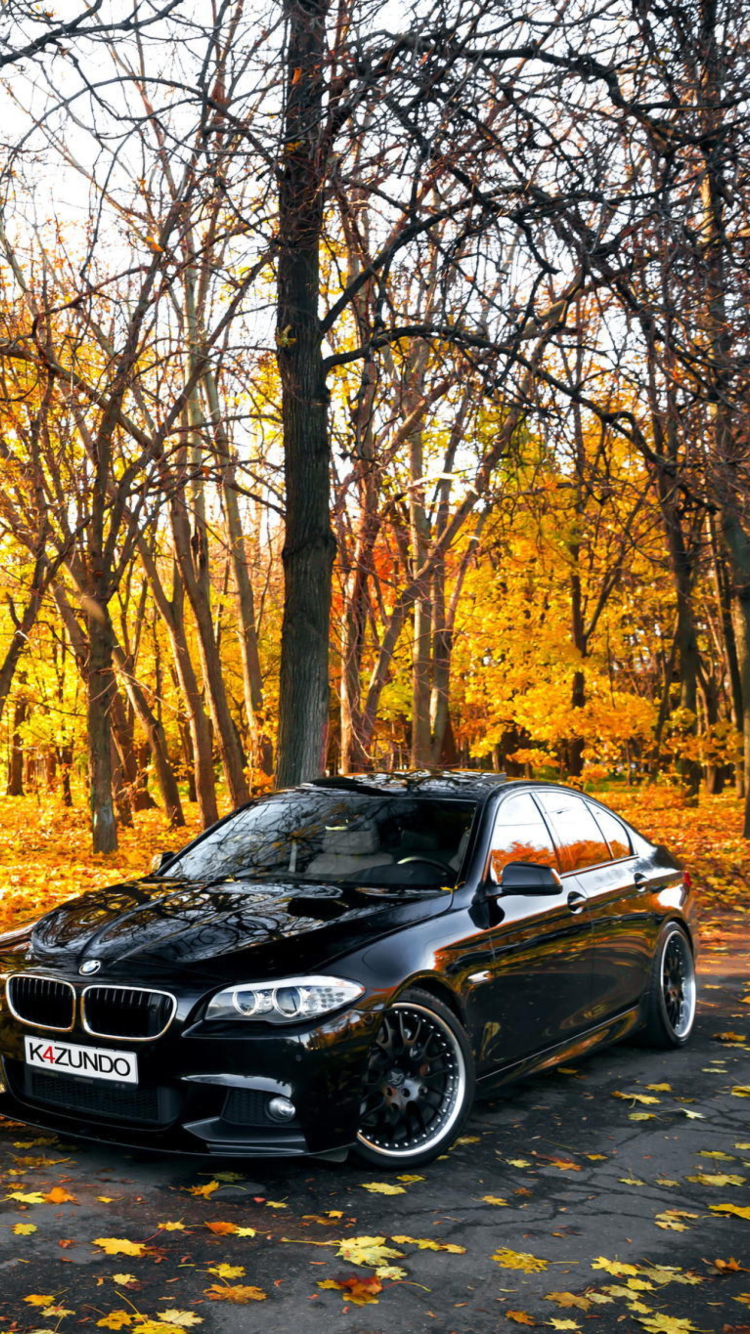 Fondo de pantalla BMW 550X Autumn View 750x1334