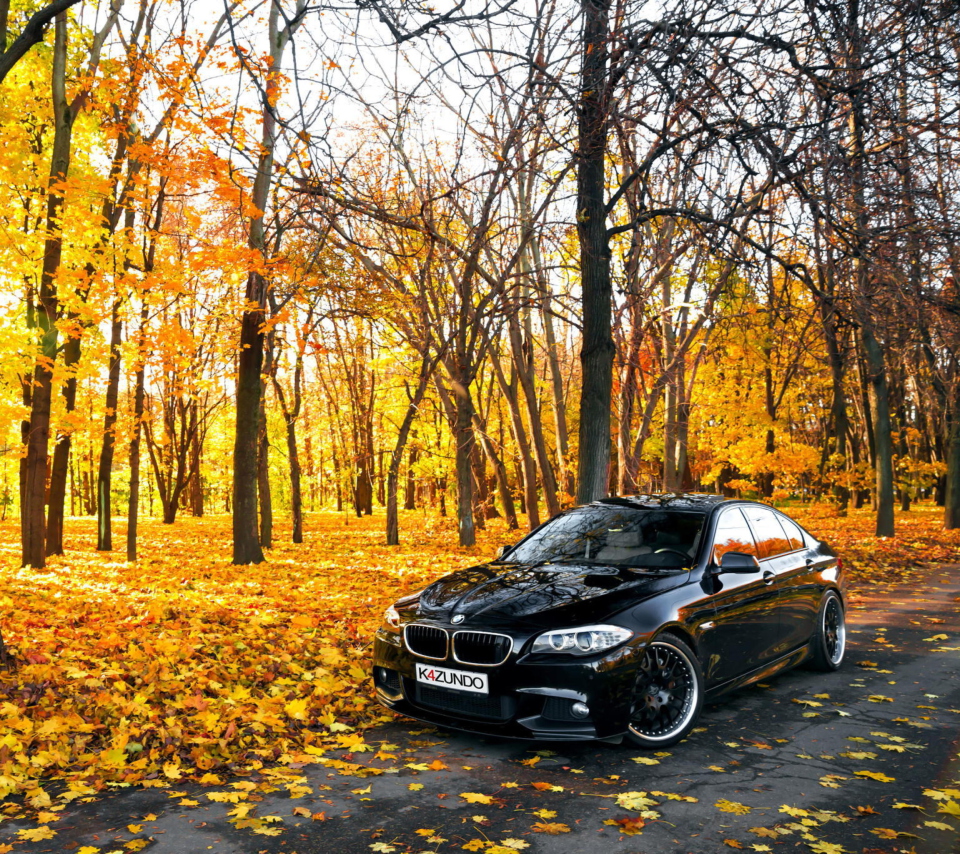 BMW 550X Autumn View wallpaper 960x854