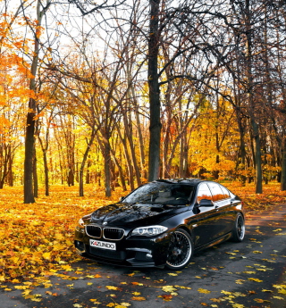 BMW 550X Autumn View - Obrázkek zdarma pro 1024x1024