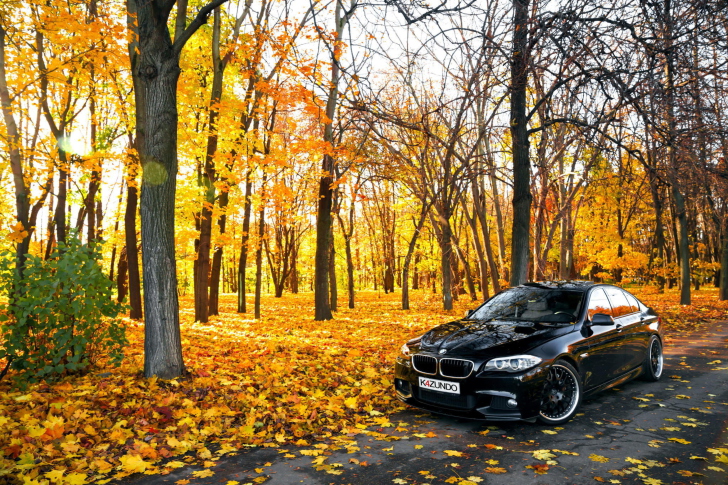 BMW 550X Autumn View wallpaper