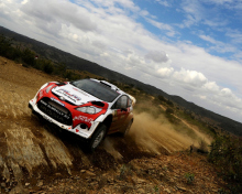 Ford Rally wallpaper 220x176