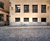 Bicycle On The Street wallpaper 176x144