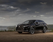 Fondo de pantalla Lexus RX 450h Sport 220x176