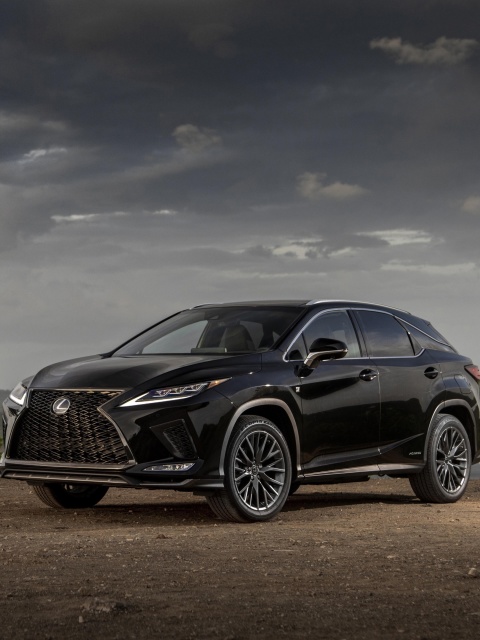 Lexus RX 450h Sport screenshot #1 480x640