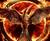 The Hunger Games Mockingjay wallpaper 176x144