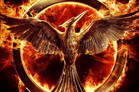 The Hunger Games Mockingjay wallpaper 480x320