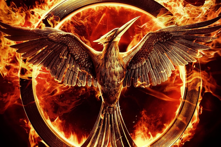 Screenshot №1 pro téma The Hunger Games Mockingjay