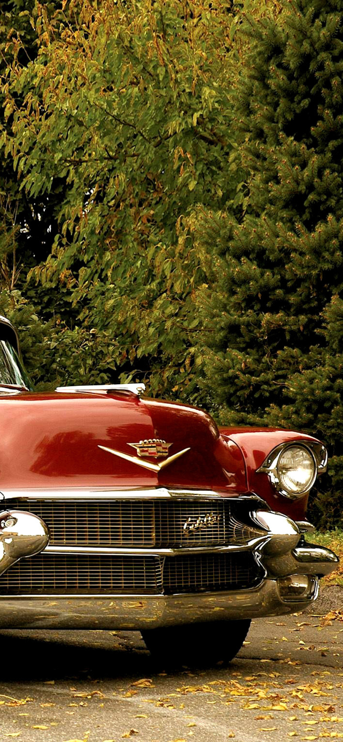 1956 Cadillac Maharani - Fondos de pantalla gratis para iPhone 11