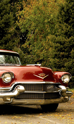 1956 Cadillac Maharani wallpaper 240x400