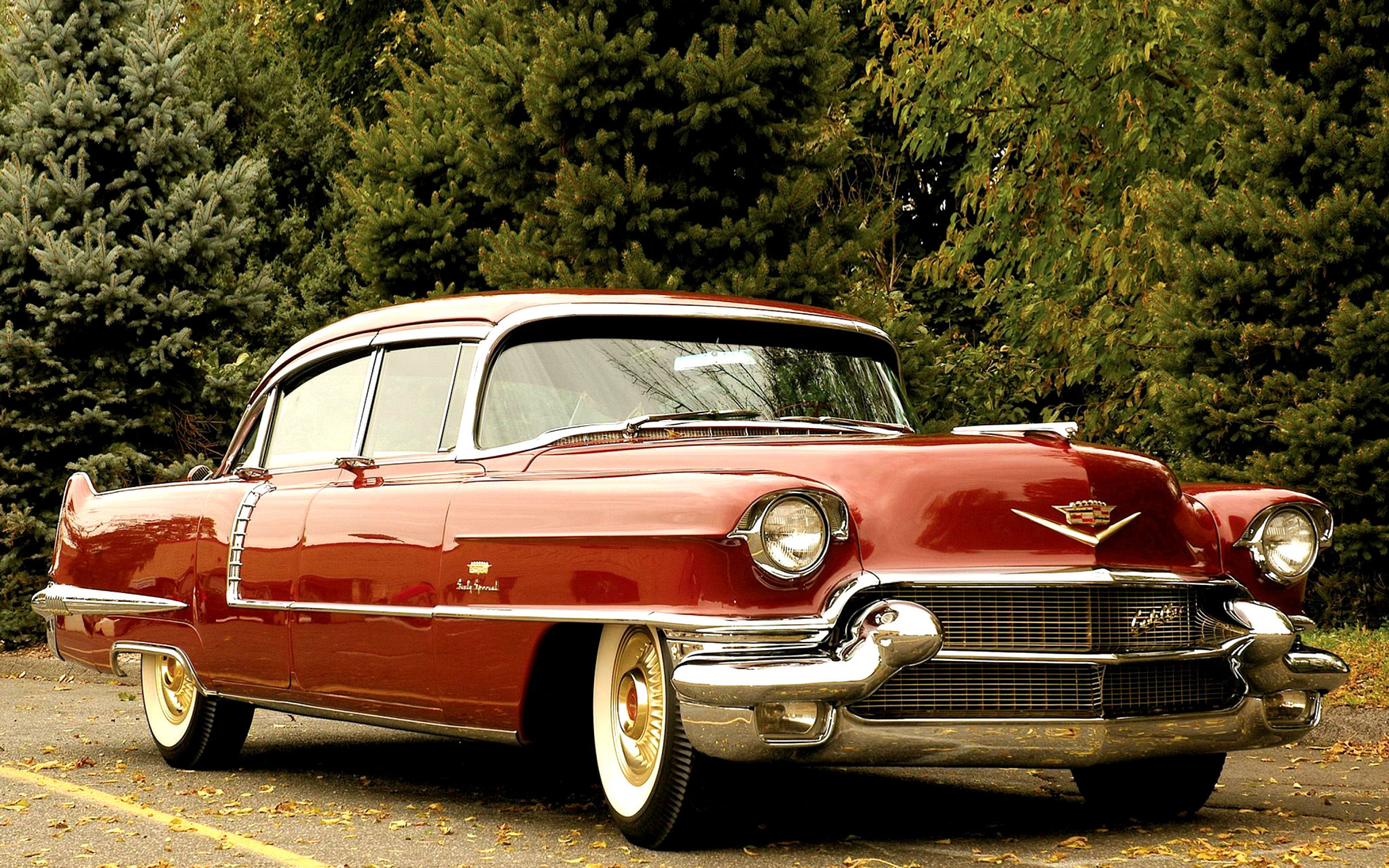 1956 Cadillac Maharani wallpaper 2560x1600