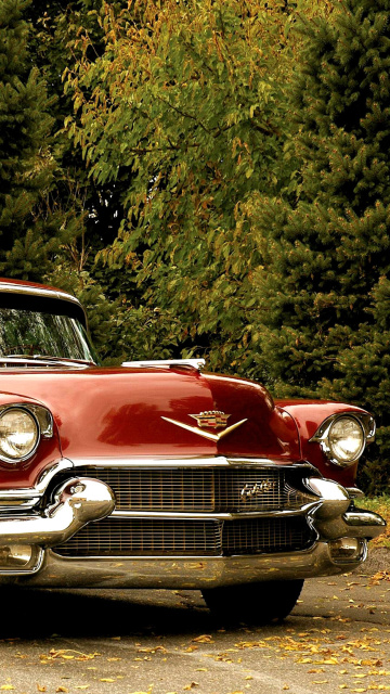 Fondo de pantalla 1956 Cadillac Maharani 360x640