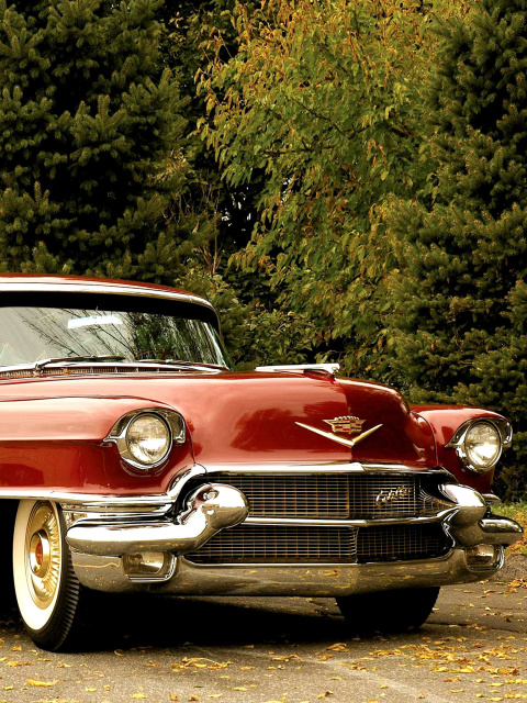 Das 1956 Cadillac Maharani Wallpaper 480x640