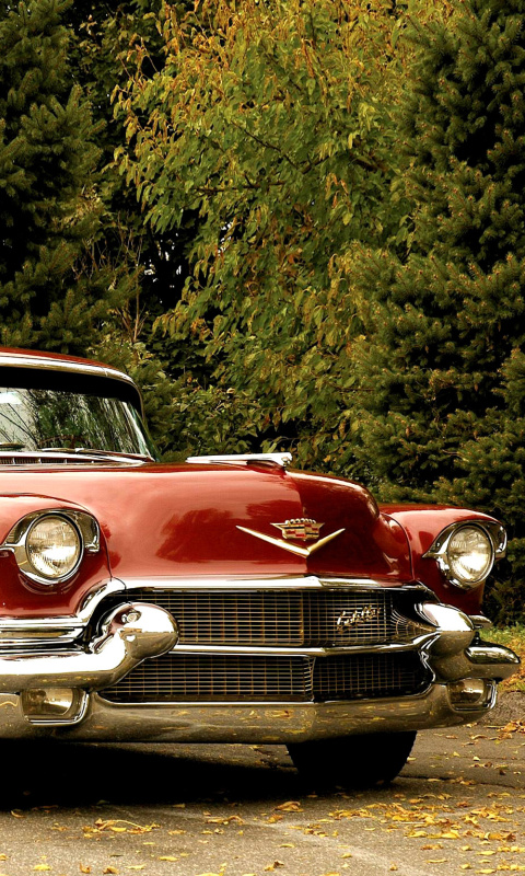 Das 1956 Cadillac Maharani Wallpaper 480x800