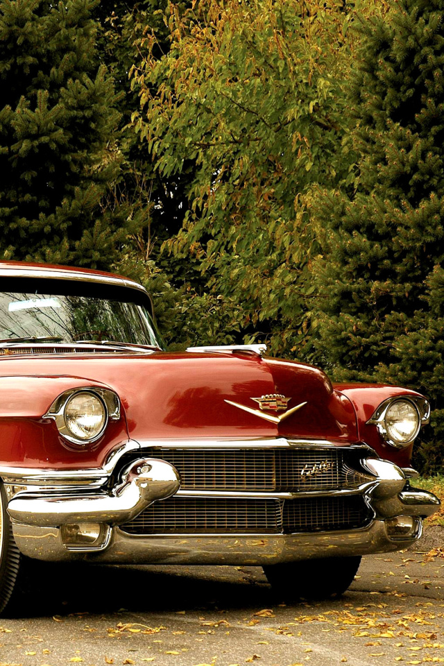 Fondo de pantalla 1956 Cadillac Maharani 640x960